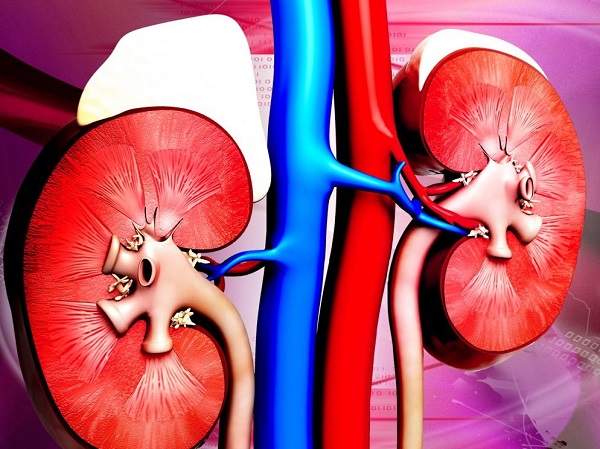 Bệnh thận IgA có nguy hiểm không? Điều trị như thế nào?