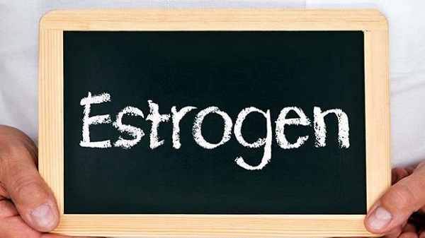 estrogen